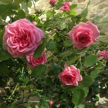 In Giardino Bed & Breakfast *
