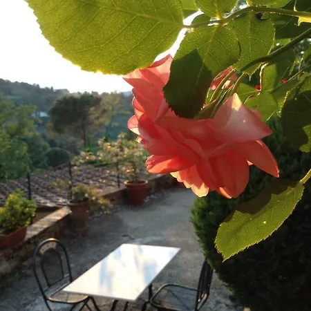 In Giardino *