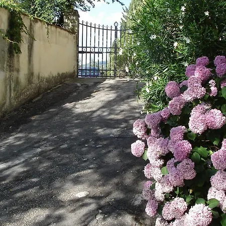 Bed & Breakfast In Giardino Fiesole